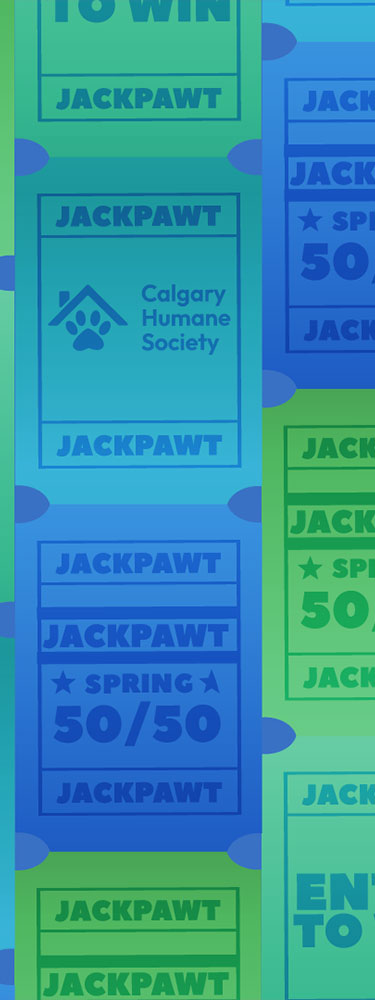 banner image